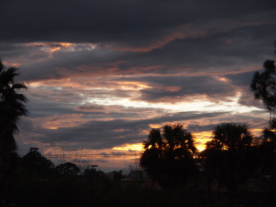 [Palm trees in the foreground are dark splotches against a colorful sky. There is one horizontal section of light blue, but the rest of the sky is covered in a cloud blanket. The cloud colors range from yellow-white to beige to dark grey amond the layered clouds in the sky.]